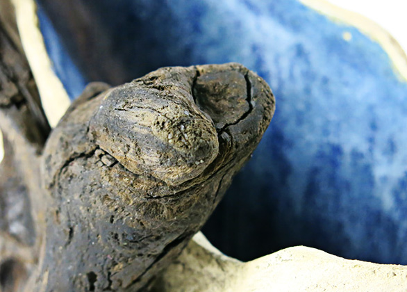 03_Detail2_586x420