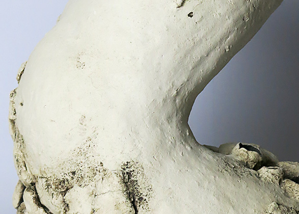 SHO_V_Detail_1_586x420